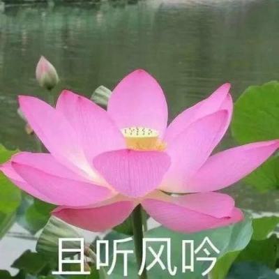 武警福建总队“古田小背包”文艺小分队深入基层慰问巡演